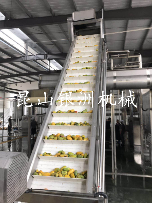 1560734028545436.jpg 芒果生产线5_副本.jpg