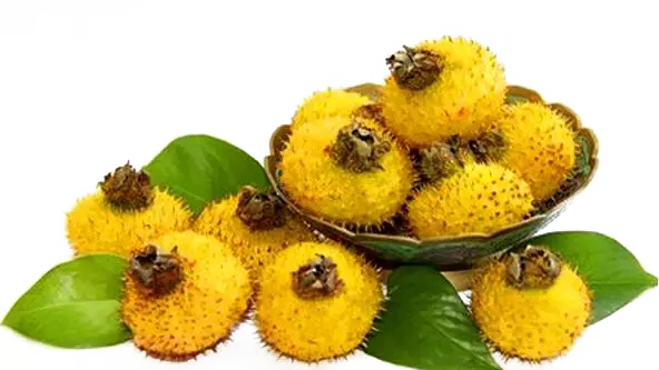 1664415821634632.png 98b757005c9cc4175809ba1d1f934eb7.png